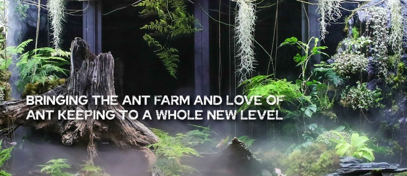 Unleash Your Inner Colony