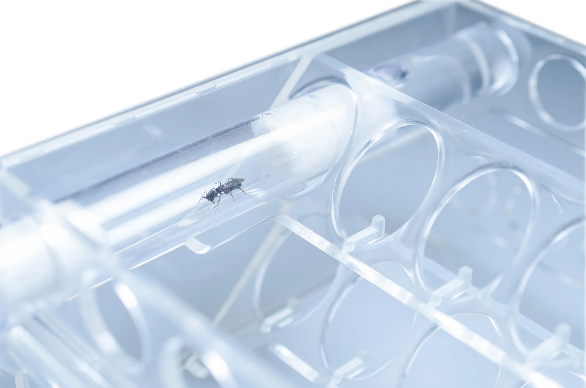 AC Test Tube Rack™ v2 - Image 5