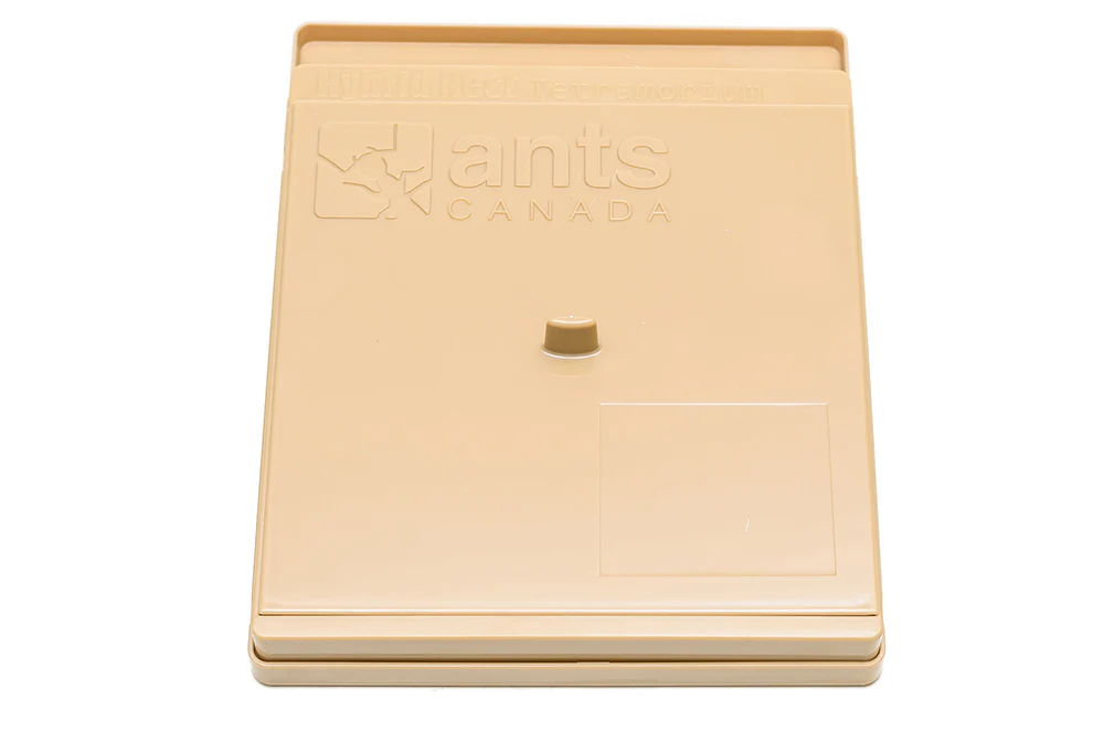 All You Need' Tetramorium Hybrid 2.0 Gear Pack™ - Image 7