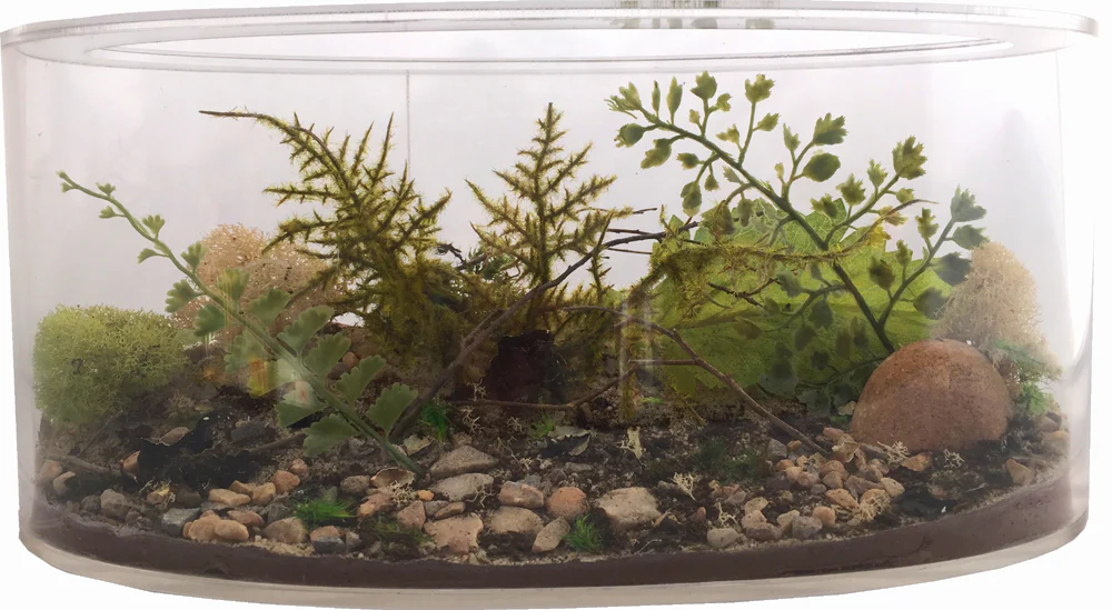 Field & Forest Biome Kit™ - Image 10