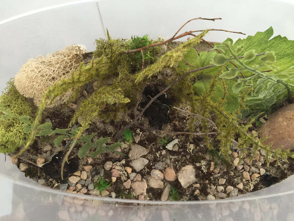 Field & Forest Biome Kit™ - Image 11