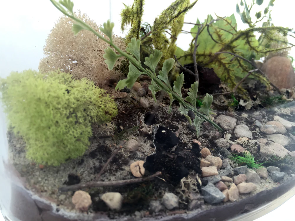 Field & Forest Biome Kit™ - Image 12