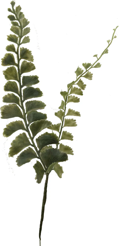 Field & Forest Biome Kit™ - Image 3