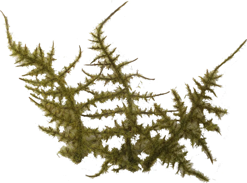 Field & Forest Biome Kit™ - Image 4