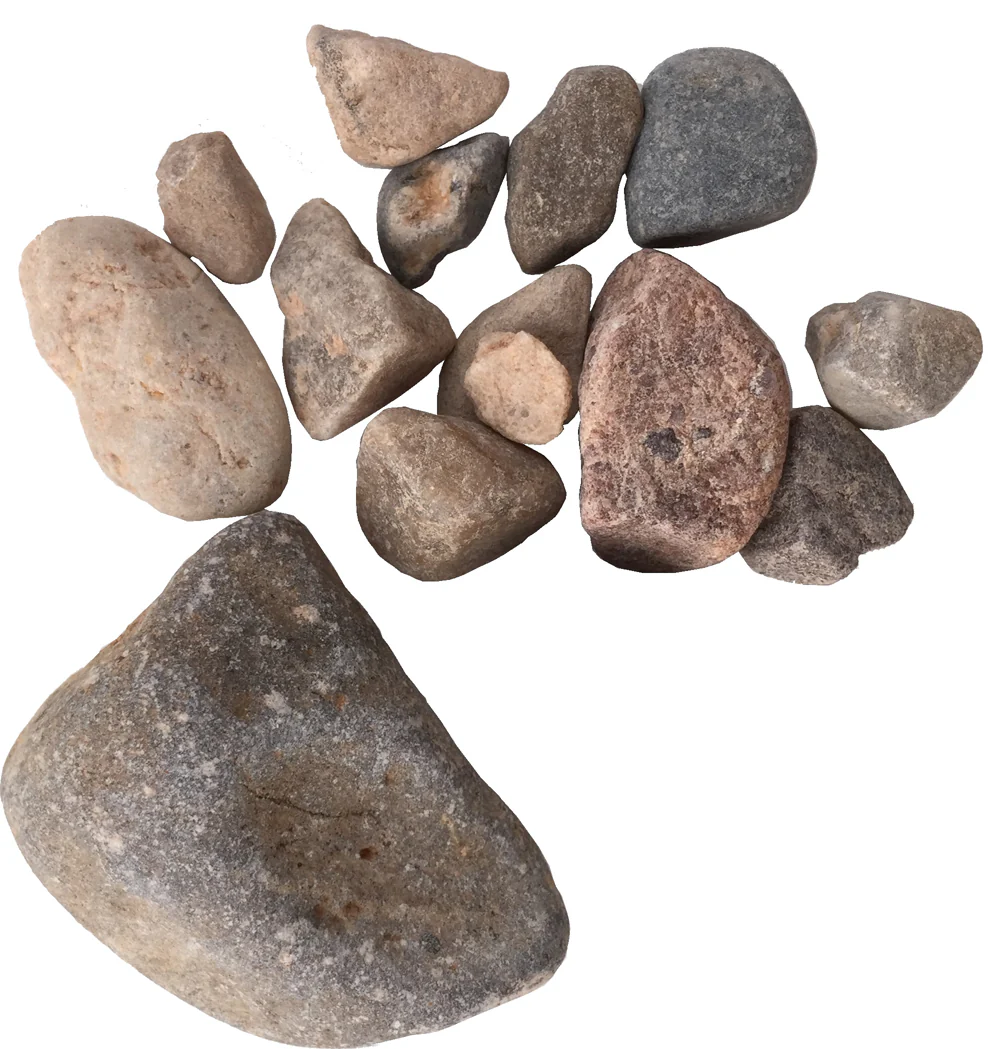 Field & Forest Biome Kit™ - Image 8