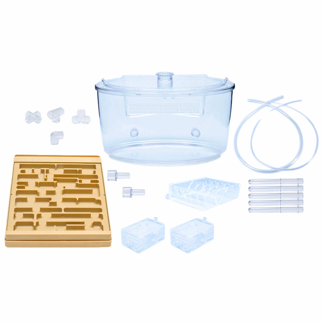 'All You Need' Camponotus Hybrid 2.0 Gear Pack™ - Image 3