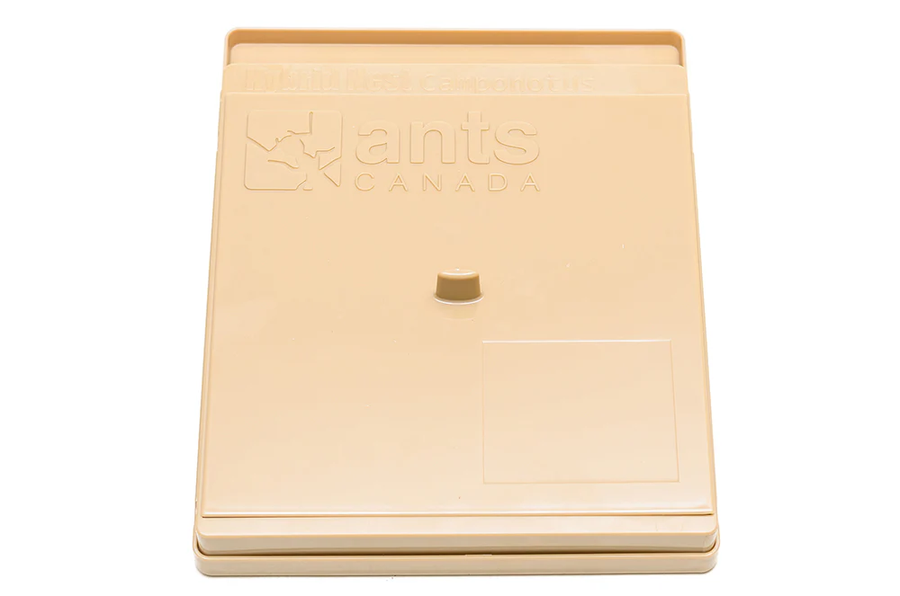 'All You Need' Camponotus Hybrid 2.0 Gear Pack™ - Image 9