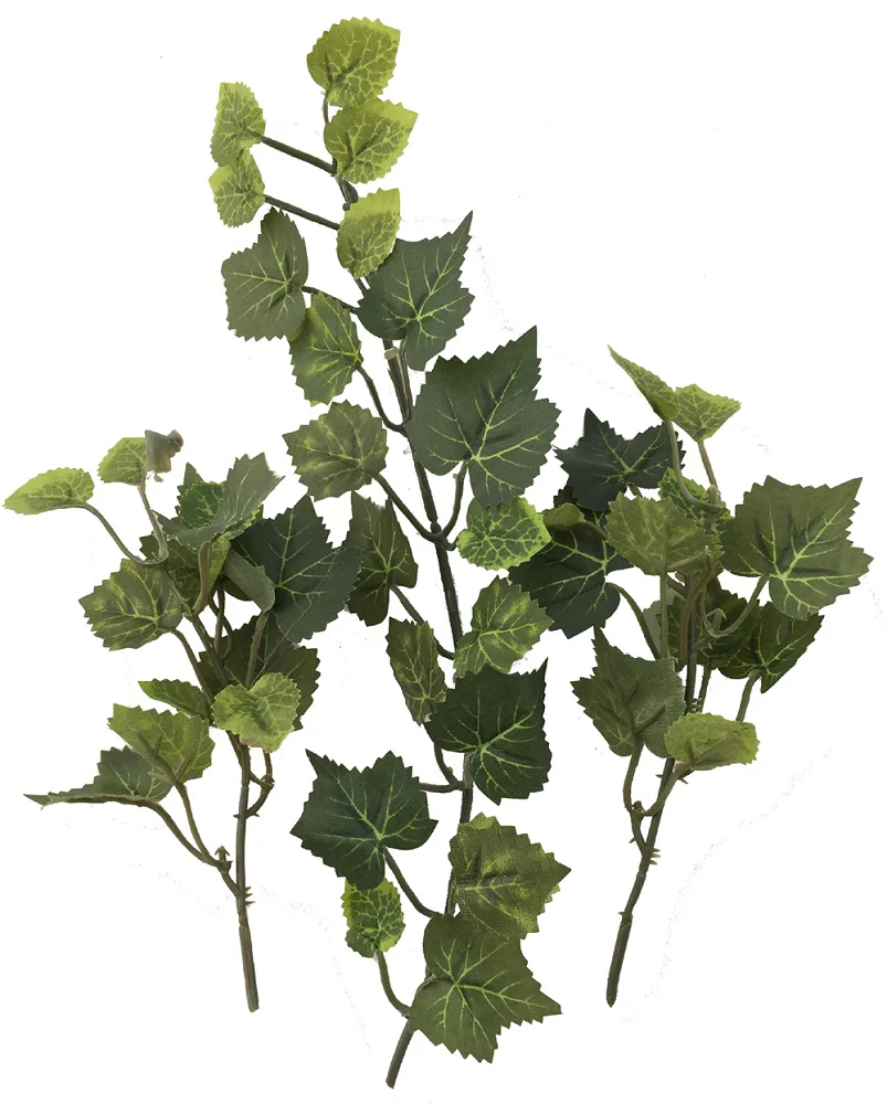 Rainforest Biome Kit™ - Image 4