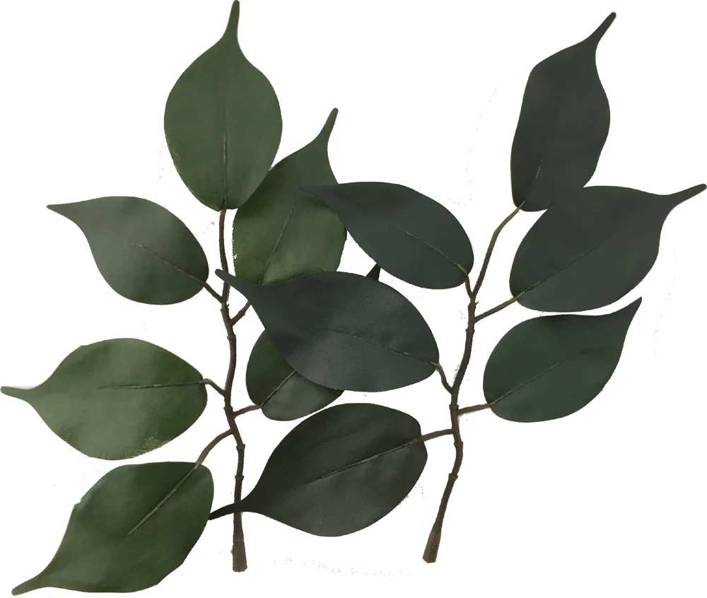 Rainforest Biome Kit™ - Image 5