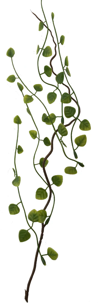 Rainforest Biome Kit™ - Image 6