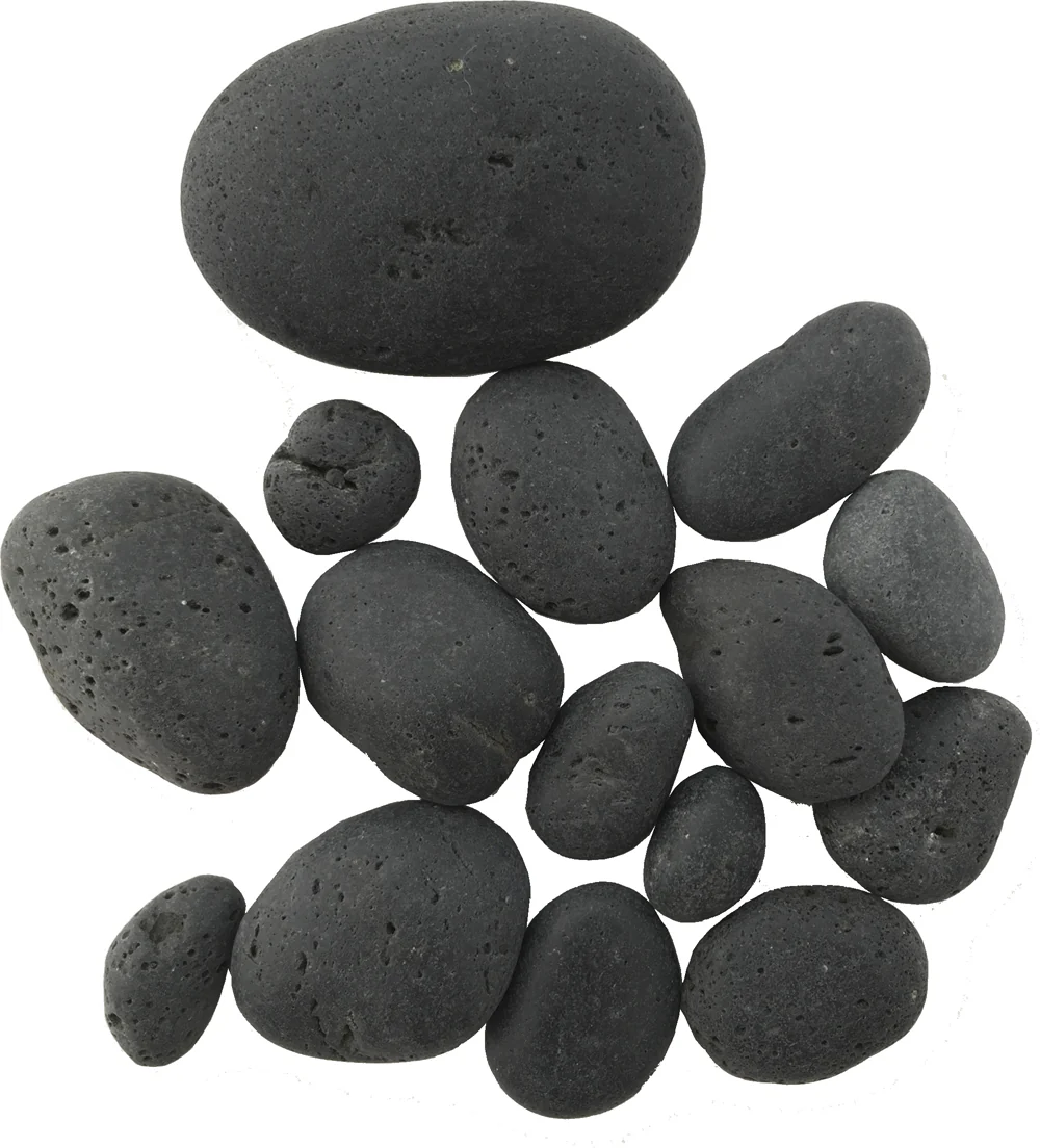 Rainforest Biome Kit™ - Image 8